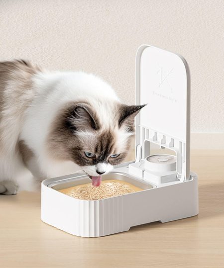 UdnorBay Single Meal Timed Automatic Pet Feeder With Ice Pack